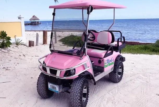 Gas Powered Vehicle