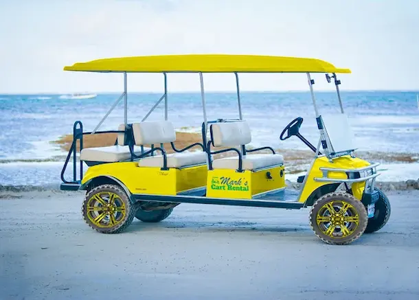 Group Passenger Vehicle