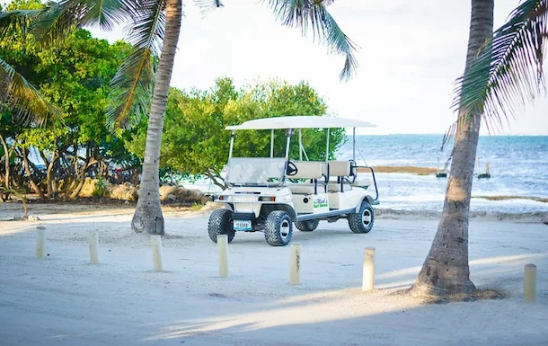 Passenger Cart Rental
