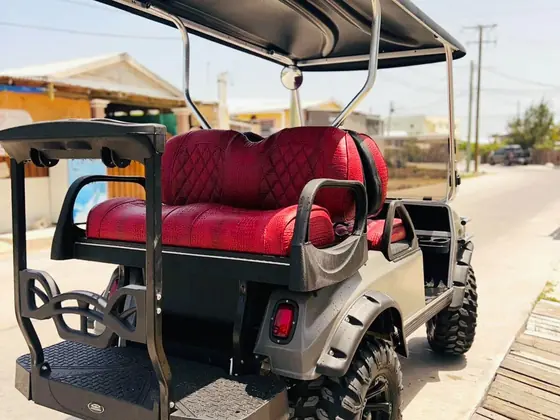 Rental golf cart on the coastal road in Ambergris Caye