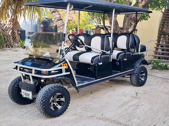 Licensed driver collecting a rental golf cart in San Pedro Belize