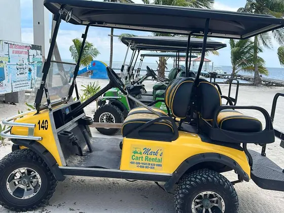 Clean rental golf cart after a full service inspection