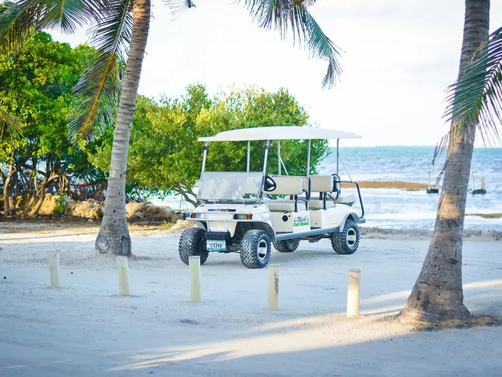 Free golf cart drop off and pick up service in San Pedro Belize