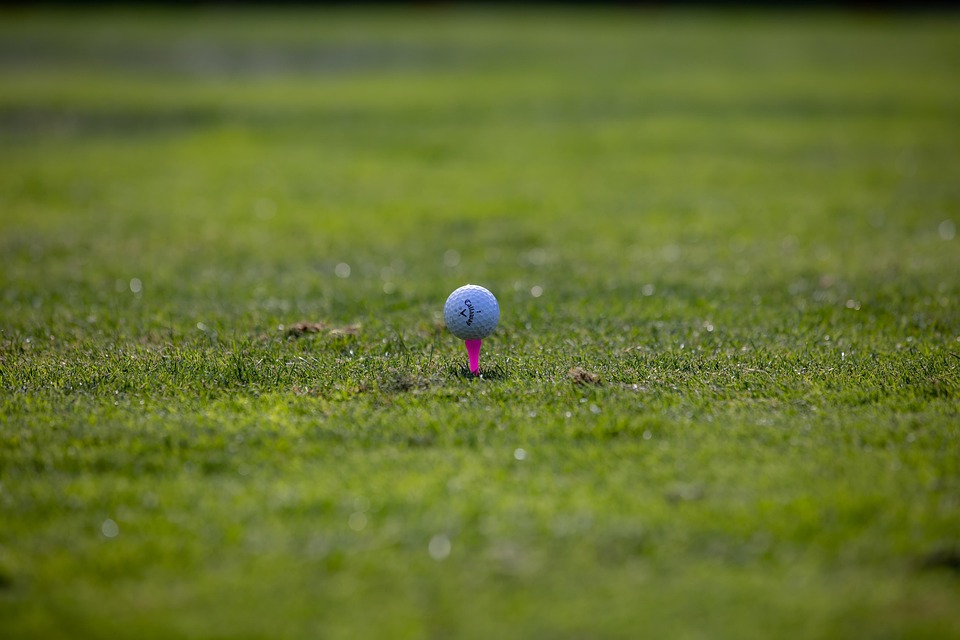 6-seater golf cart rental Ambergris Caye