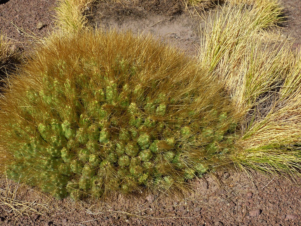Secret Beach transportation San Pedro