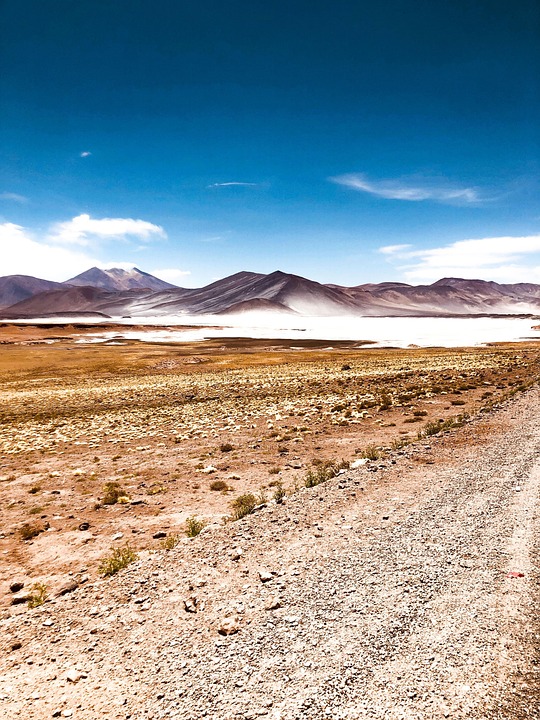 San Pedro golf cart rental rates