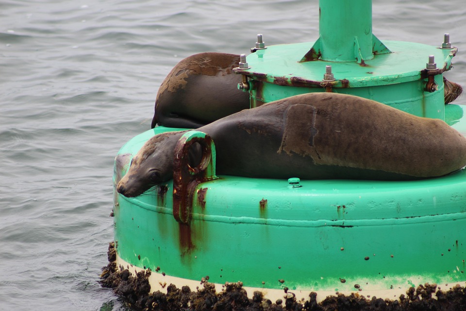 San Pedro Belize golf cart rental