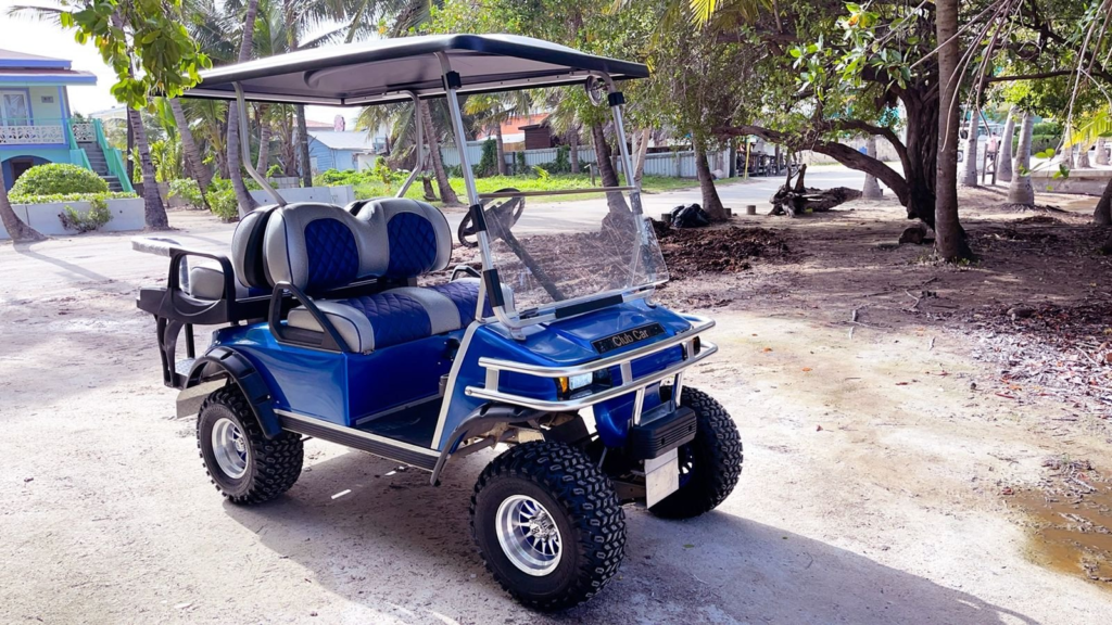 Group island cruising